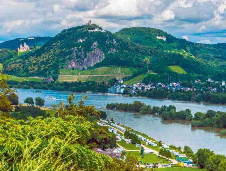 Ferienwohnung In Rheinnaehe Rheinbreitbach Eksteriør bilde