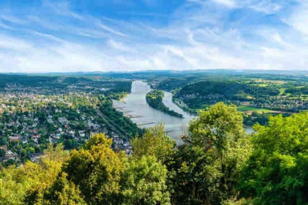 Ferienwohnung In Rheinnaehe Rheinbreitbach Eksteriør bilde